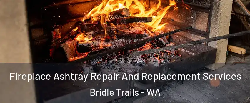 Fireplace Ashtray Repair And Replacement Services Bridle Trails - WA