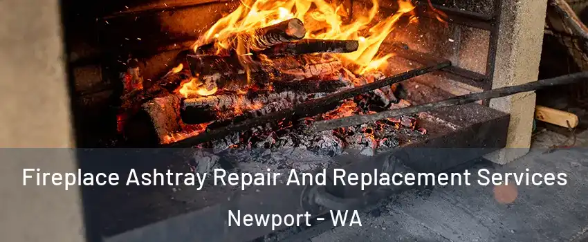 Fireplace Ashtray Repair And Replacement Services Newport - WA