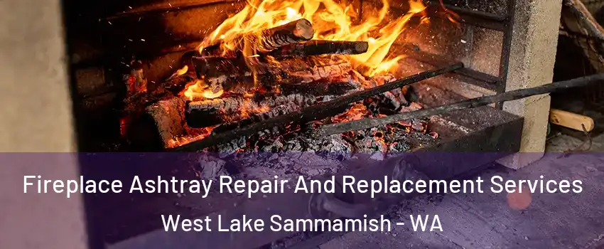 Fireplace Ashtray Repair And Replacement Services West Lake Sammamish - WA