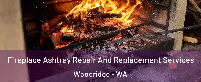 Fireplace Ashtray Repair And Replacement Services Woodridge - WA