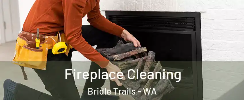 Fireplace Cleaning Bridle Trails - WA