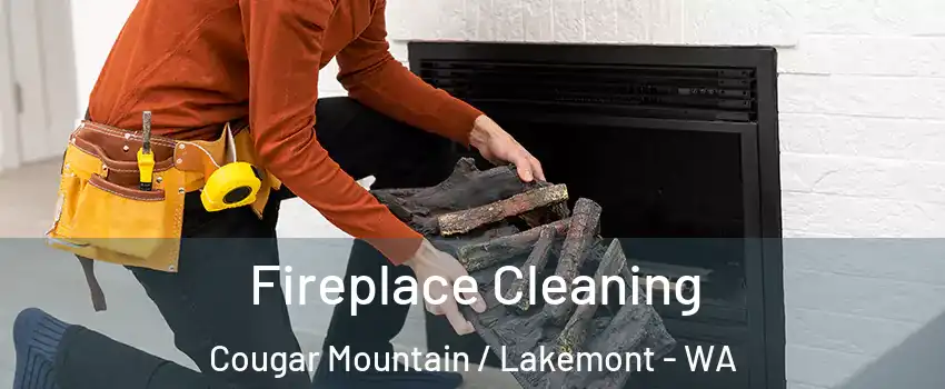 Fireplace Cleaning Cougar Mountain / Lakemont - WA