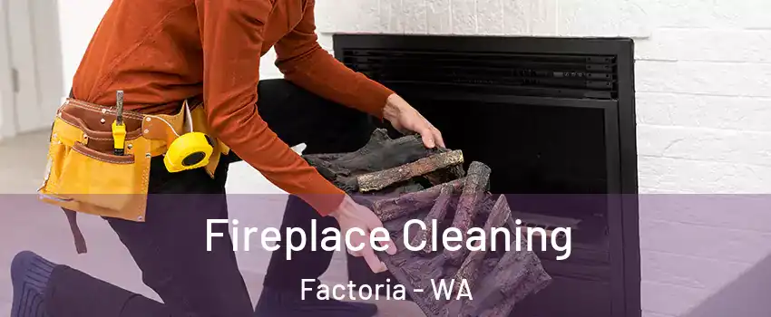 Fireplace Cleaning Factoria - WA