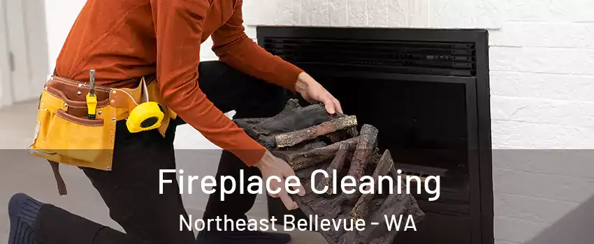 Fireplace Cleaning Northeast Bellevue - WA