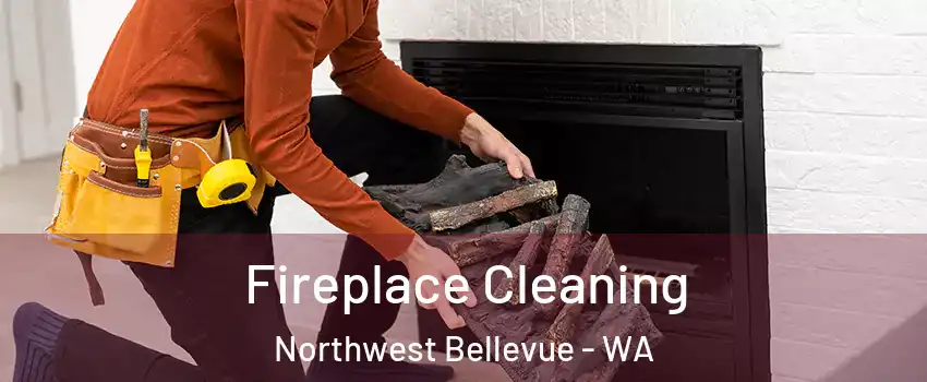 Fireplace Cleaning Northwest Bellevue - WA