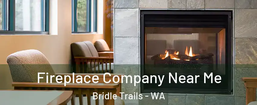 Fireplace Company Near Me Bridle Trails - WA