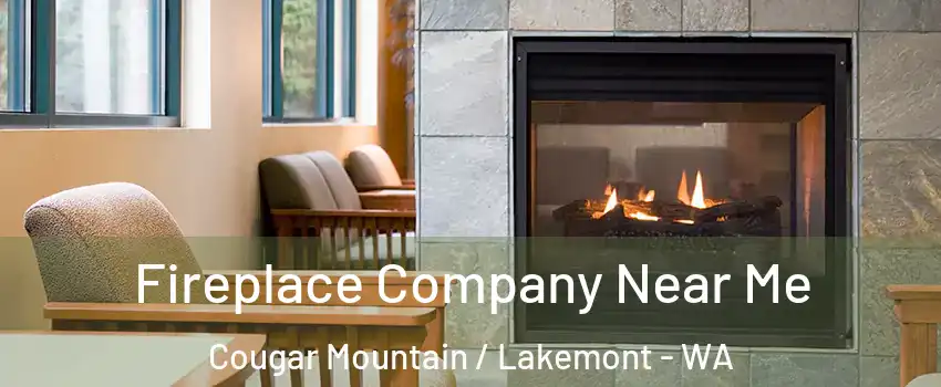 Fireplace Company Near Me Cougar Mountain / Lakemont - WA