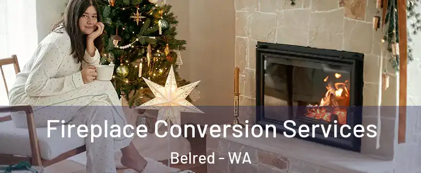 Fireplace Conversion Services Belred - WA