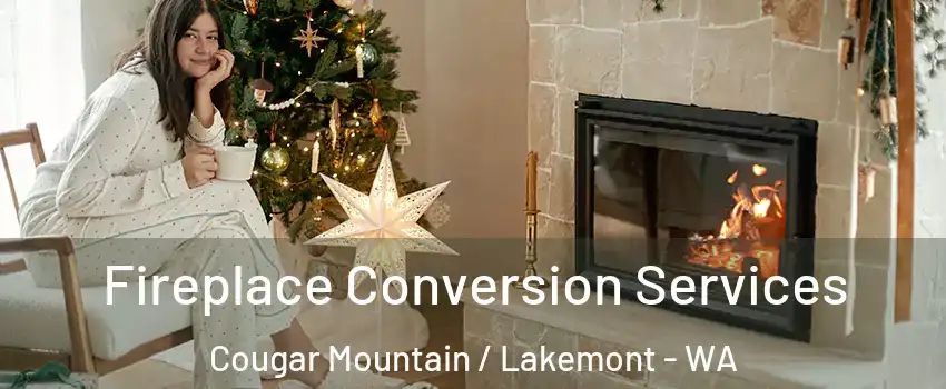 Fireplace Conversion Services Cougar Mountain / Lakemont - WA