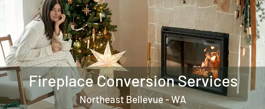 Fireplace Conversion Services Northeast Bellevue - WA