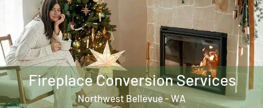 Fireplace Conversion Services Northwest Bellevue - WA