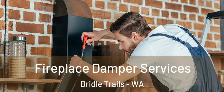 Fireplace Damper Services Bridle Trails - WA