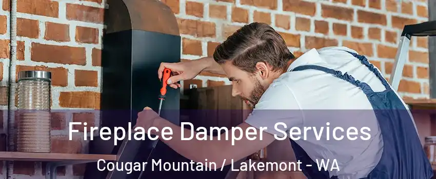 Fireplace Damper Services Cougar Mountain / Lakemont - WA