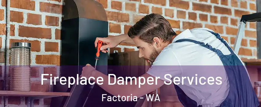 Fireplace Damper Services Factoria - WA