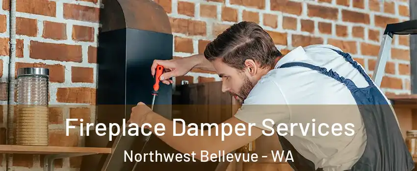 Fireplace Damper Services Northwest Bellevue - WA