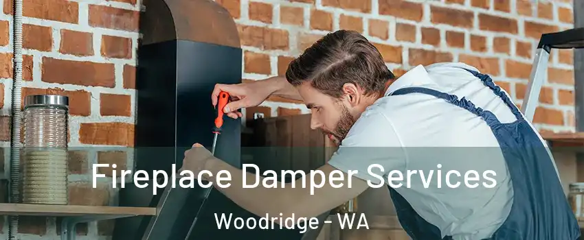 Fireplace Damper Services Woodridge - WA