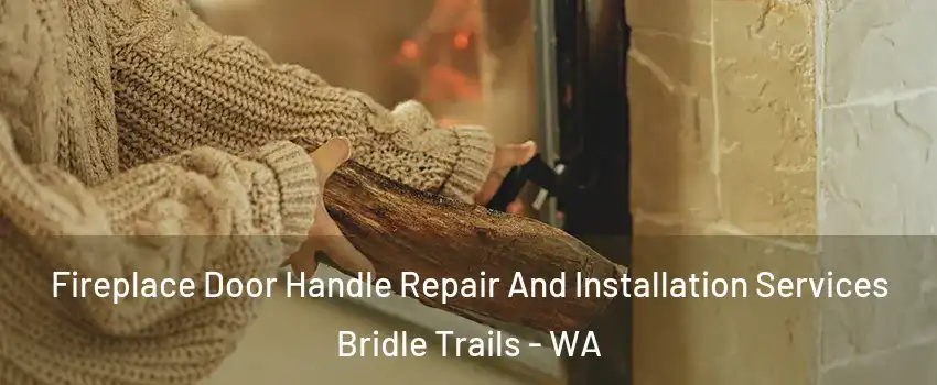 Fireplace Door Handle Repair And Installation Services Bridle Trails - WA