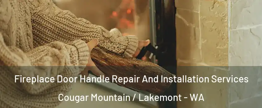 Fireplace Door Handle Repair And Installation Services Cougar Mountain / Lakemont - WA