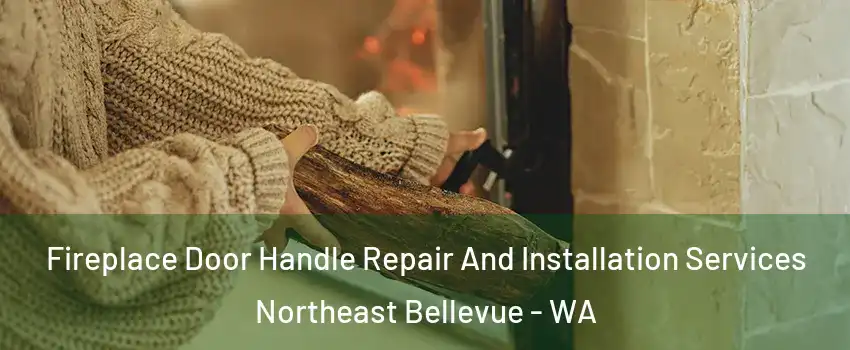 Fireplace Door Handle Repair And Installation Services Northeast Bellevue - WA