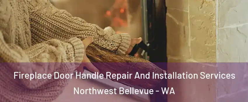 Fireplace Door Handle Repair And Installation Services Northwest Bellevue - WA