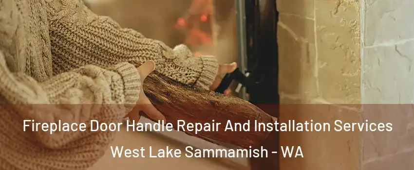 Fireplace Door Handle Repair And Installation Services West Lake Sammamish - WA