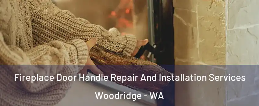 Fireplace Door Handle Repair And Installation Services Woodridge - WA