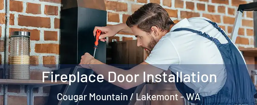 Fireplace Door Installation Cougar Mountain / Lakemont - WA