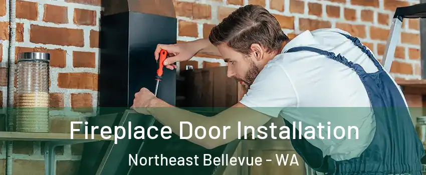 Fireplace Door Installation Northeast Bellevue - WA