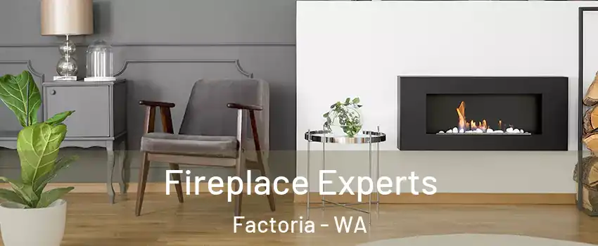 Fireplace Experts Factoria - WA