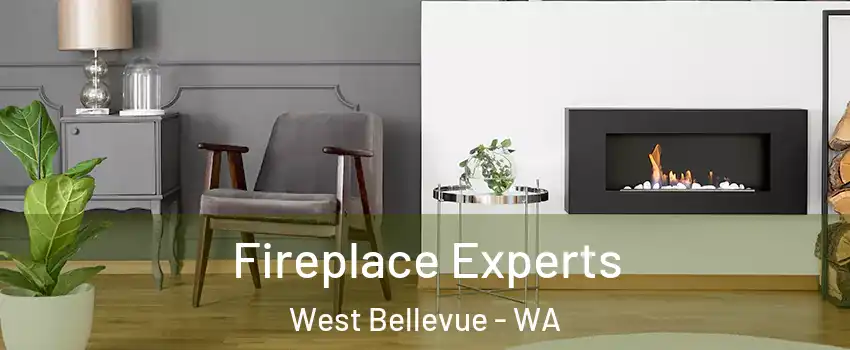 Fireplace Experts West Bellevue - WA