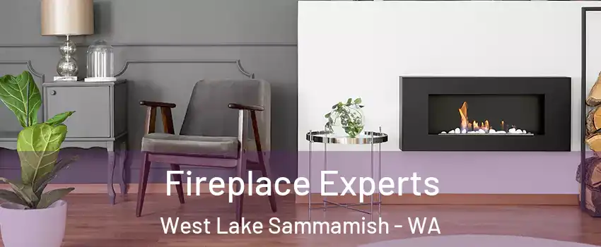 Fireplace Experts West Lake Sammamish - WA