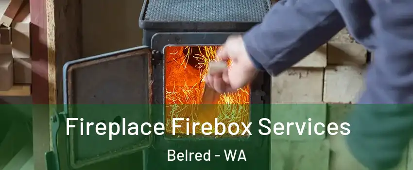 Fireplace Firebox Services Belred - WA