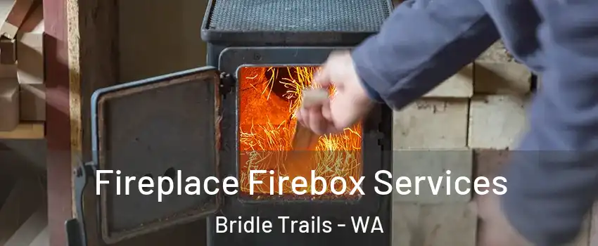 Fireplace Firebox Services Bridle Trails - WA