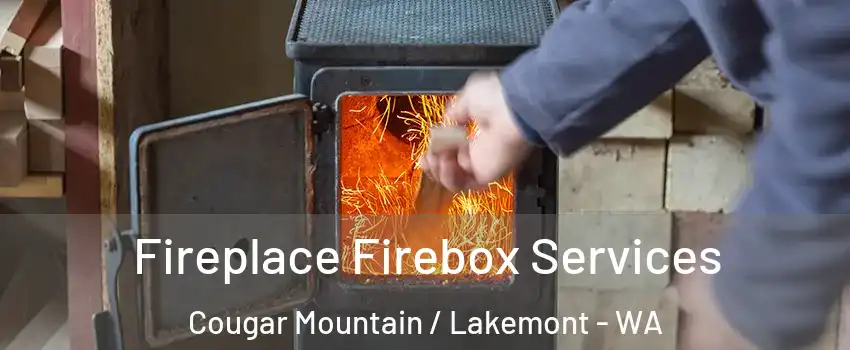 Fireplace Firebox Services Cougar Mountain / Lakemont - WA