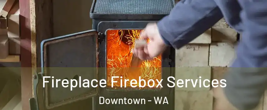 Fireplace Firebox Services Downtown - WA