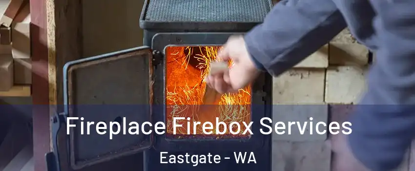 Fireplace Firebox Services Eastgate - WA