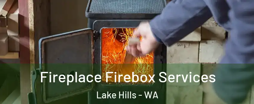 Fireplace Firebox Services Lake Hills - WA