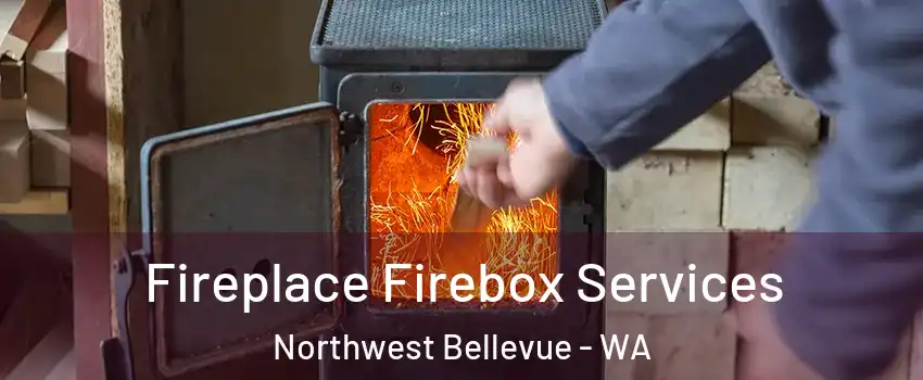 Fireplace Firebox Services Northwest Bellevue - WA