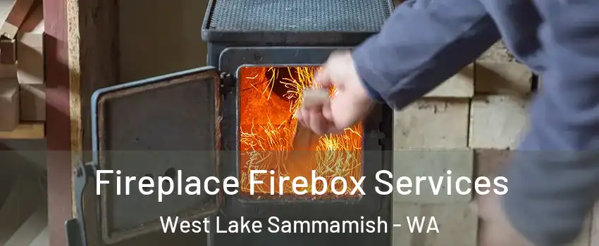 Fireplace Firebox Services West Lake Sammamish - WA