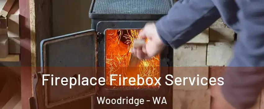 Fireplace Firebox Services Woodridge - WA