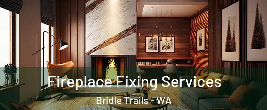 Fireplace Fixing Services Bridle Trails - WA