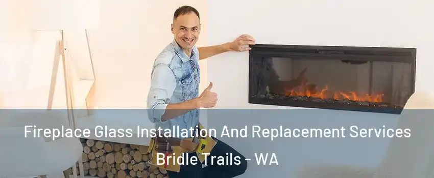 Fireplace Glass Installation And Replacement Services Bridle Trails - WA