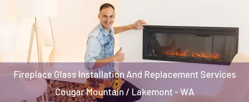 Fireplace Glass Installation And Replacement Services Cougar Mountain / Lakemont - WA