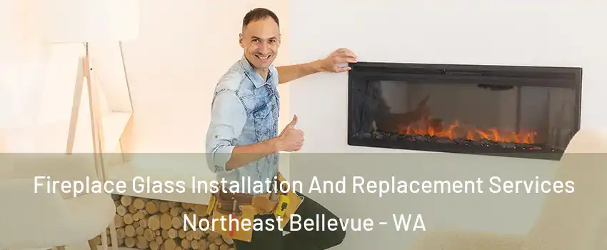 Fireplace Glass Installation And Replacement Services Northeast Bellevue - WA