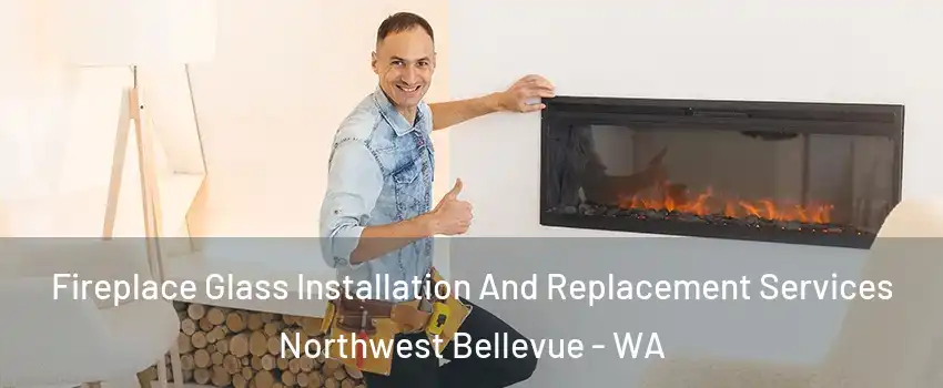 Fireplace Glass Installation And Replacement Services Northwest Bellevue - WA