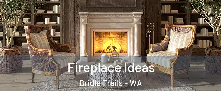 Fireplace Ideas Bridle Trails - WA