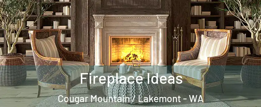 Fireplace Ideas Cougar Mountain / Lakemont - WA