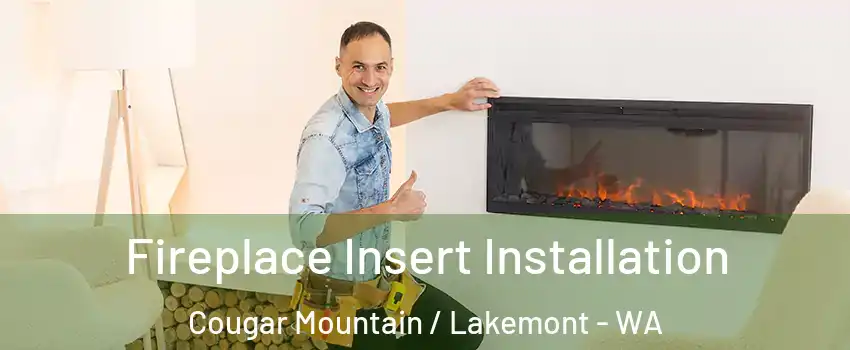 Fireplace Insert Installation Cougar Mountain / Lakemont - WA