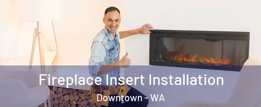 Fireplace Insert Installation Downtown - WA