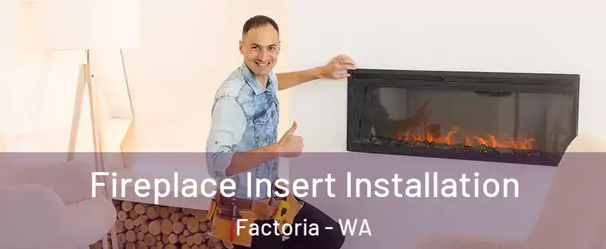 Fireplace Insert Installation Factoria - WA